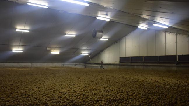 In de loop van volgend jaar wordt de toelating van chloorprofam in aardappelopslag ingetrokken.