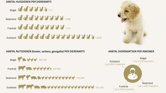 Het is drummen voor dierenartsen in België, blijkt uit de masterthesis van UGent diergeneeskundestudent Ashkan Joshghani.
