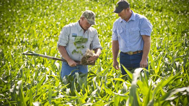 China heeft als vergelding voor Amerikaanse importheffingen op vooral staal heffingen ingesteld voor Amerikaanse landbouwproducten.