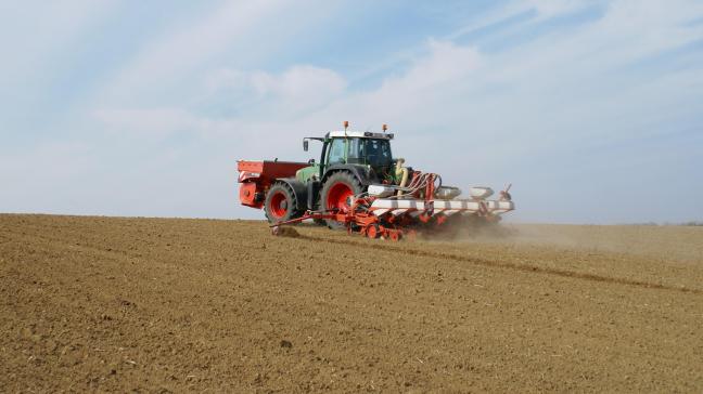 Seed@Bel vertegenwoordigt vrijwel de gehele Belgische zaaizaadsector.