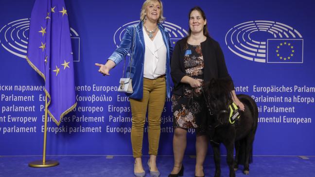Hilde Vautmans (links) vorig jaar in het Europees Parlement, met blindengeleidepaard Dinky en diens eigenaar.