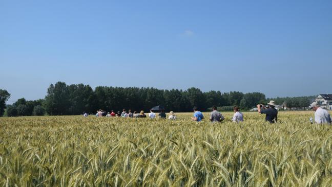 De velden lagen er prachtig bij onder het stralende zonnetje.