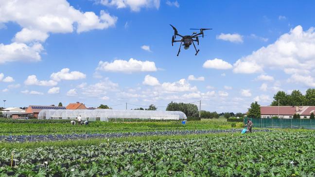 Concreet streeft het INNO-VEG-project ernaar om luchtbeelden en gegevens van gewassensoren te gebruiken in het proefveldonderzoek.