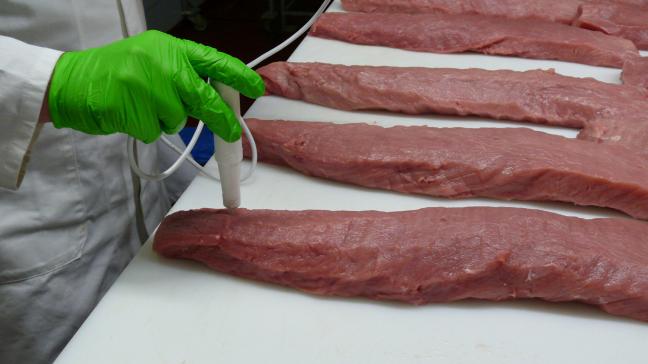 Om PSE-vlees (pale soft exudative) te kunnen detecteren aan de slachtlijn werd de zuurgraad (pH) van de carré en ham 35 minuten na slachten gemeten.