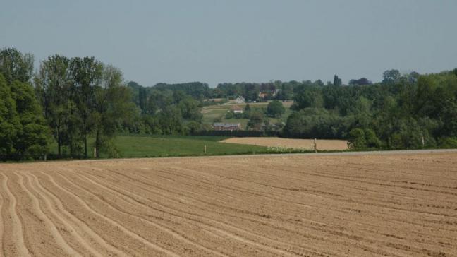 Het grootste deel van het ruilverkavelingsgebied in Gooik zijn akkers en weiden.