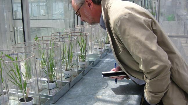 De weg naar betere planten wordt aanzienlijk vereenvoudigd door het gebruik van nieuwe veredelingstechnieken, aldus wetenschappers.