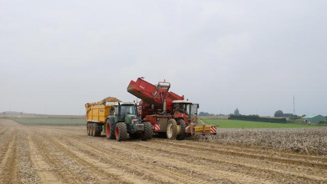 Het seizoen voor vroege aardappelen begon op 12 juli met een notering van 18 euro.