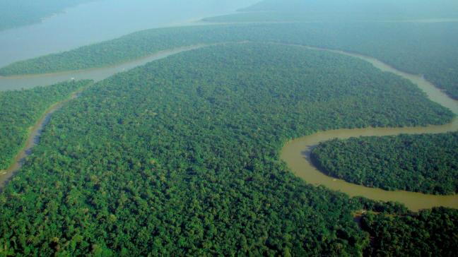 Het Amazone-woud is groter dan Europa, en daarom zijn bossen volgens Bolsonaro moeilijk te bestrijden.