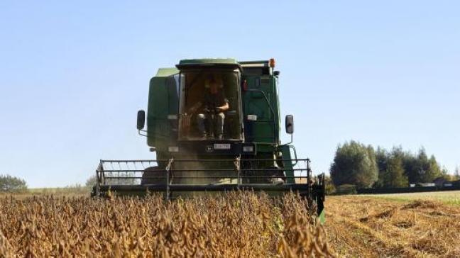 Chinese bedrijven hebben naar verluidt weer een flinke hoeveelheid Amerikaanse sojabonen ingekocht.