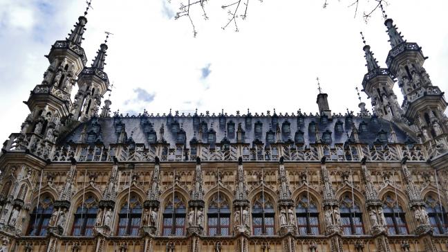 Geleyns is pas de eerste landbouwer in het schepencollege van Leuven, een stad die vooral bekend staat om haar universiteit, mooie architectuur en bierbrouwerij AB Inbev.