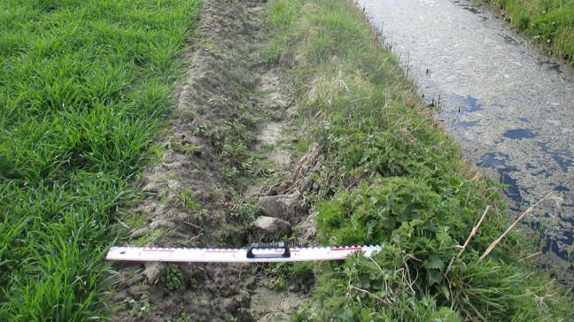 Vlaams-Brabant belooft extra toe te zien op zaken als het respecteren van de teeltvrije zone.