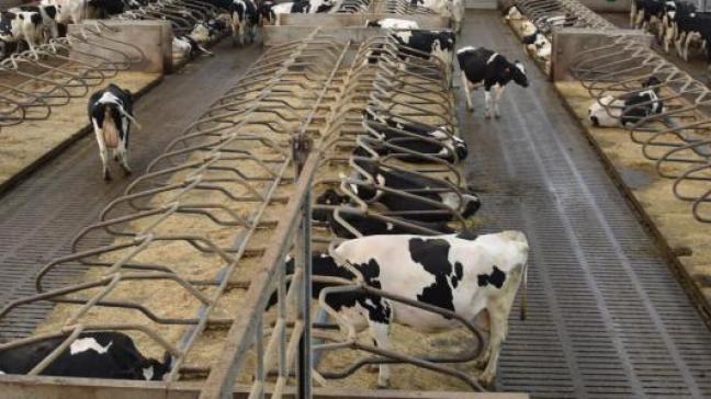 De prijs blijft lager dan die in 2018 en 2017.