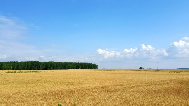 The New York Times publiceerde een artikel dat beschrijft hoe politici in landen als Hongarije en Tsjechië een deel van de landbouwfondsen misbruiken voor eigen gewin of dat van bevriende grootgrondbezitters.
