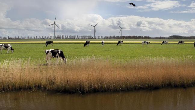 Melkveehouders hadden nog niet eerder zo weinig vertrouwen in hun onderneming, al bleef de index net boven het nulpunt.