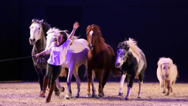 Naast de topsport verzorgt Anne-Gaëlle Bertho een waar paardenspektakel in de ring.