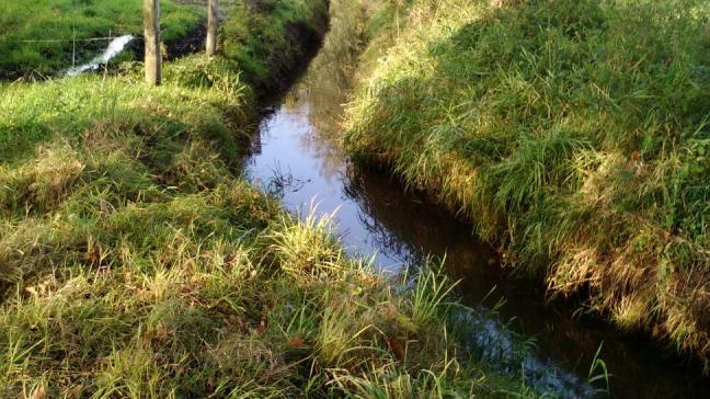 Map 6 moet helpen de waterkwaliteit in Vlaanderen te verbeteren.