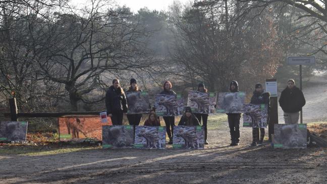 Volgens Animal Rights heeft afschot van everzwijnen weinig nut en zorgt het voor dierenleed. De organisatie deed daarom een stille wake tijdens de drukjacht op everzwijnen in Zonhoven.