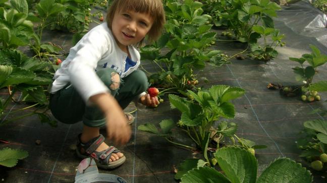 In het regeerakkoord staat dat we de vrijheid willen laten aan een boer hoe hij zijn systeem ontwikkelt. Dat kan bio zijn, dat kan anders zijn , aldus landbouwminister Hilde Crevits in de commissie landbouw.