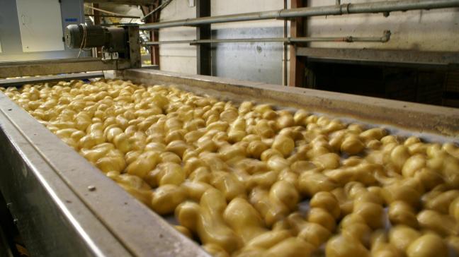 Clarebout is de grootste producent van diepgevroren frieten wereldwijd.