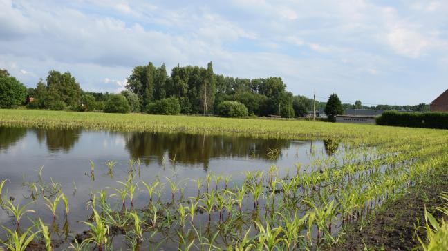 De weersverzekering helpt boeren de risico’s van extreem weer te verminderen.