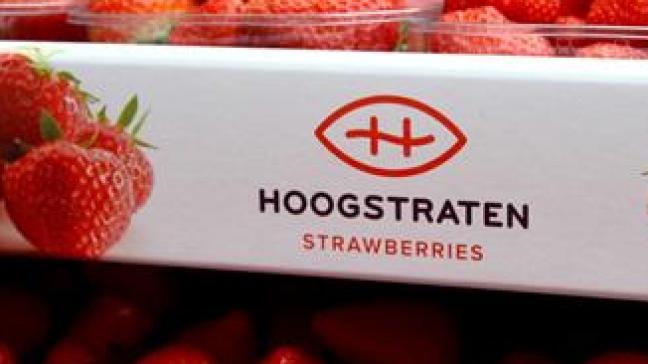 De Coöperatie Hoogstraten heeft een nieuwe directeur.