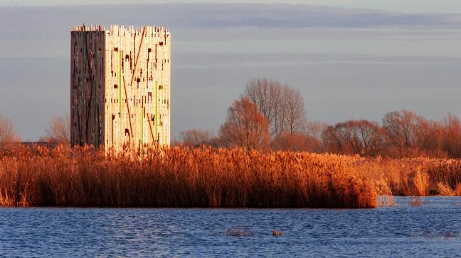 Zoals de roerdomp met zijn rijzige gestalte opgaat in het riet, zo gaan de torens op in de open ruimte van de Blankaart, terwijl het tegelijk bakens in het landschap zijn.