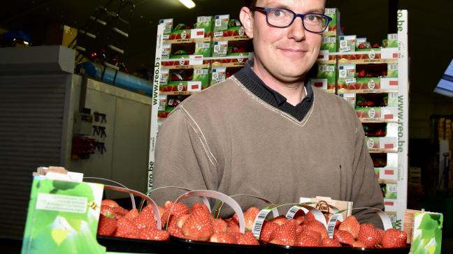 Mathias Jonckheere is een trotse producent van aardbeien.