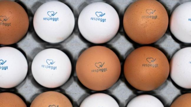 Alle Respeggt-eieren worden volledig getraceerd doorheen de keten. Ze dragen het unieke logo.