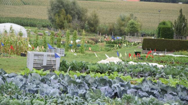 Boeren kunnen hun producten zelf aan de man brengen, maar het helpt als de gemeente mee ondersteunt door bijvoorbeeld grond ter beschikking te stellen, boerenmarkten te organiseren of met handelaars af te spreken dat ze ook lokale producten aanbieden.