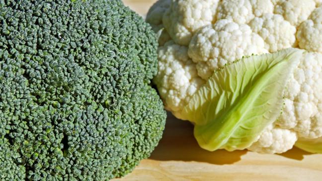 Het aantal Vlaamse bloemenkolentelers daalt verder, in Spanje is broccoli aan een opmars bezig.