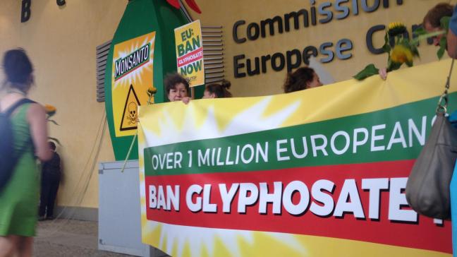 De gewesten zijn bevoegd om het gebruik te regelen. Voor de werkzame stof glyfosaat is in Vlaanderen al een verbod ingesteld: glyfosaat mag niet meer worden gebruikt door particulieren.