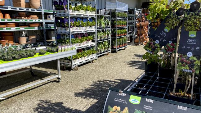 Winkels die voeding en dierenvoeding verkopen, mogen voortaan opnieuw ook bloemen en planten aanbieden met inachtneming van de maatregelen van 'social distancing'.