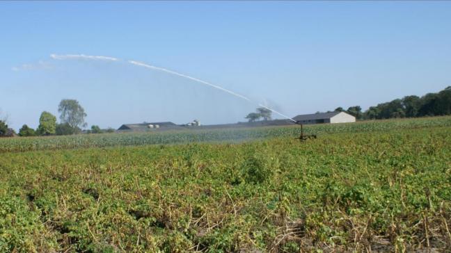 Bocholt werd in januari door het FAVV toegevoegd aan de beschermingszone waarin voor aardappelpercelen bepaalde wettelijke voorschriften gelden tegen bruinrot.