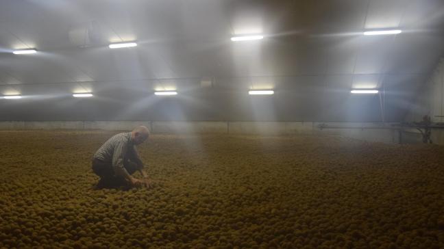 Boeren moeten vanwege nieuwe regels hun loodsen CIPC-vrij maken.