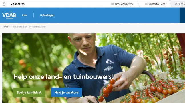 De website is er niet alleen voor de land- en tuinbouwers die tijdelijke arbeiders zoeken, maar ook voor de vele kandidaten arbeiders.