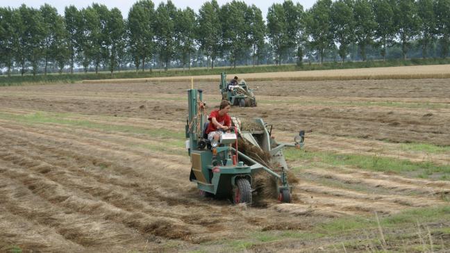 De Vlaamse regering besliste dat alle Vlaamse vlasverwerkers die niet bij de brancheorganisatie Vlas & Hennep zijn aangesloten en die de verschillende onderdelen van de vlasplant scheiden en zuiveren, verplicht zijn om een aantal statistische gegevens op vastgestelde tijdstippen te bezorgen aan de BO.