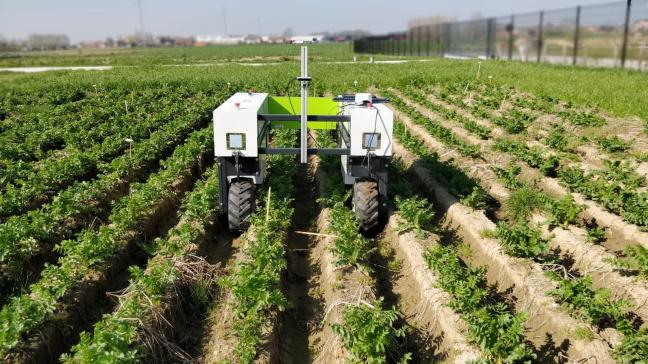 De ontwikkeling van kleine, multifunctionele robots voor kleinschalige landbouwbedrijven is het doel van het Interreg-project CIMAT.