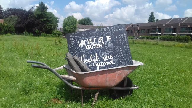 Deze zomer stimuleert de Provincie immers tal van acties onder de noemer ‘Lokaal is het nieuwe normaal’.