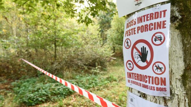 Een gedeelte van de bossen in de Gaumestreek werd heropend.