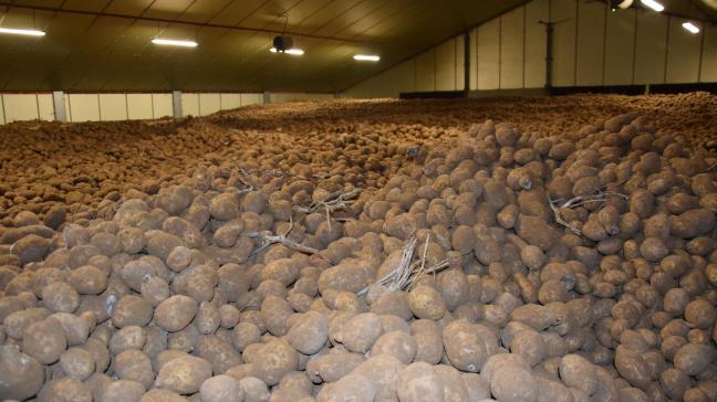 Geef voor eind mei je aardappelvoorraad door via de website van Belpotato.be.