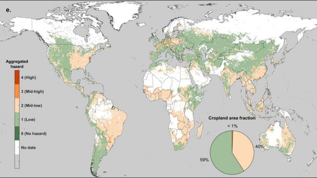 1% van de akkers wereldwijd – ongeveer 385.000 vierkante kilometer – is matig tot heel verontreinigd , staat in de studie.