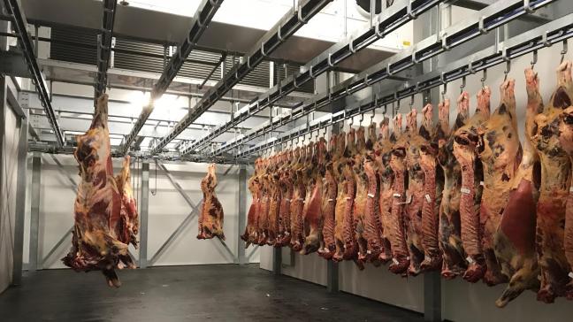 Vion is de grootste rundvleesproducent van de EU, en één van de grootste varkensvleesproducenten.