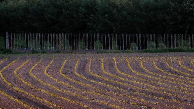 Demir wil graag captatieverboden op Vlaams niveau beslissen. Nu zijn de 5 provinciegouverneurs hiervoor verantwoordelijk.