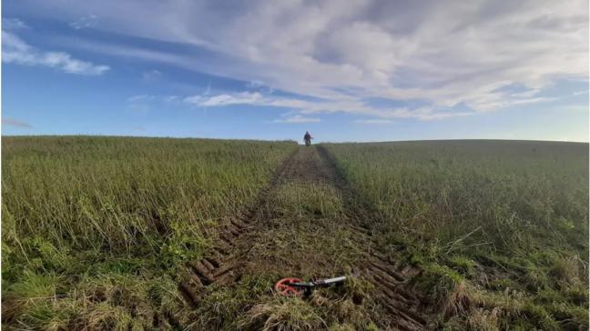 Aanplant van 2.9 kilometer heg bij een landbouwer in Overijse.