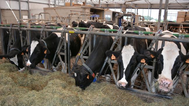 De melkprijs staat onder druk door de coronacrisis en een seizoenseffect op de gehaltes.