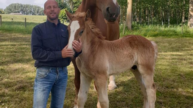 Paul Van  Steenberghe uit Sint-Lievens-Esse met zijn twaalfjarige merrie Oase van Stal Coen en haar veulen.