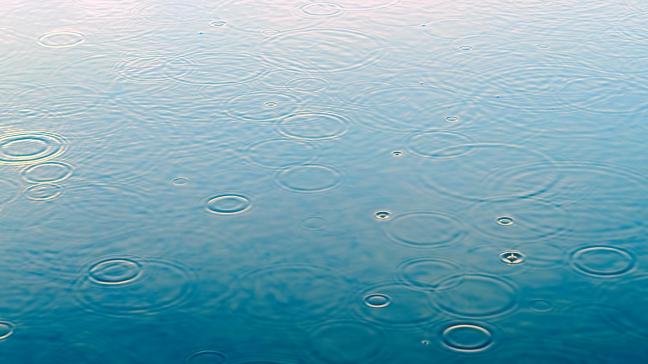 Ondanks de regen vertonen voor de tijd van het jaar zat 85
% van de waterpeilen onder het normaal.