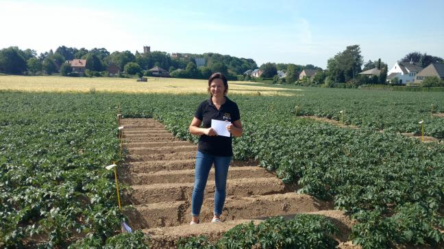 Ilse Eeckhout (PCA) gaf ons toelichting bij de rassenproef frietaardappelen in Bertem