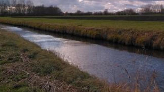 Daarom werd een tussentijdse evaluatie ingeschreven in het Mestdecreet. Die evaluatie is nu afgerond. De conclusie daarvan is dat de waterkwaliteit doorgaans niet is verbeterd en soms zelfs is afgenomen ten opzichte van de uitgangssituatie van MAP 6.