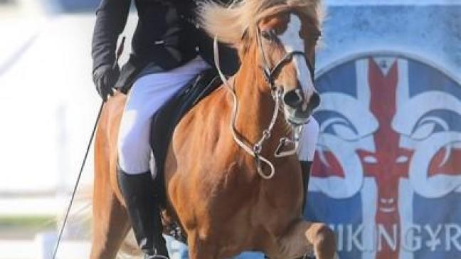 Frans Goetschalckx van ’t Enclavehof uit Wortel in 2019 tijdens de Wereldkampioenschappen in Berlijn met zijn paard Smellur.